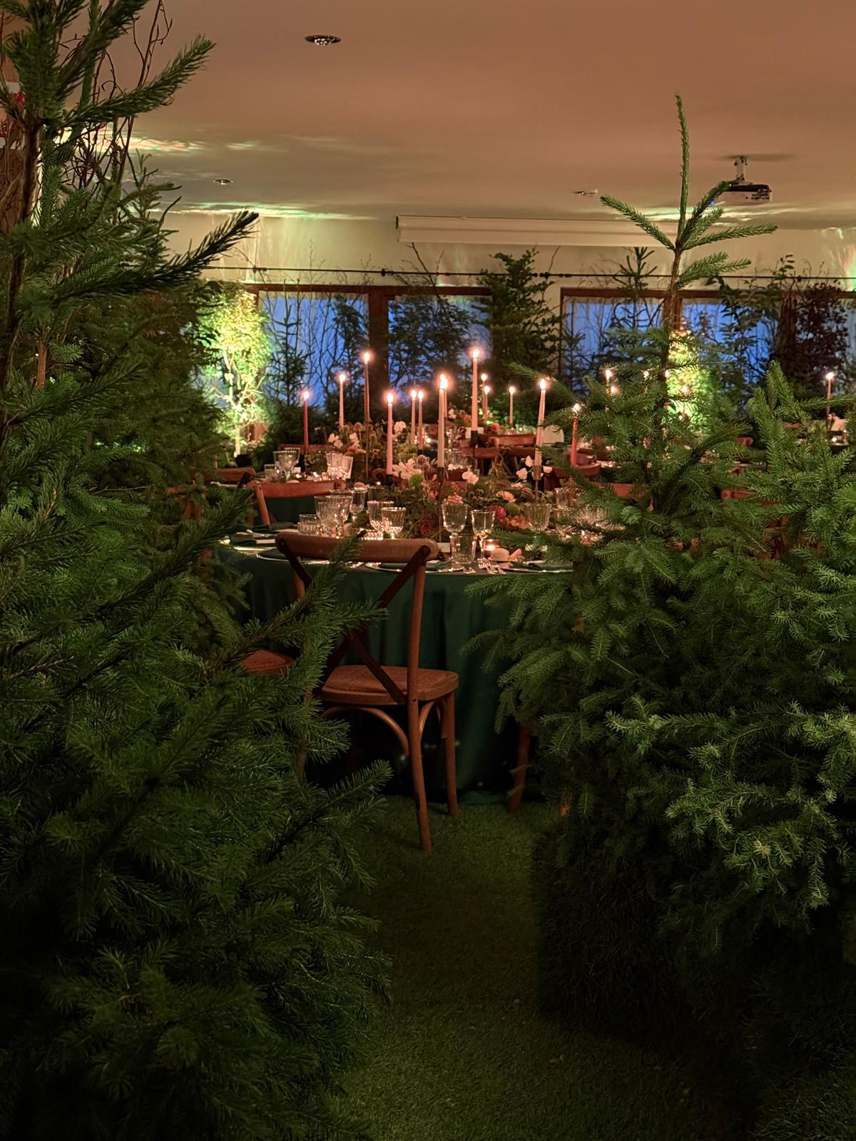  Ein magischer Wald für ein exklusives Setup im Sci Club 18.