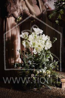 Matrimoni in Cadore