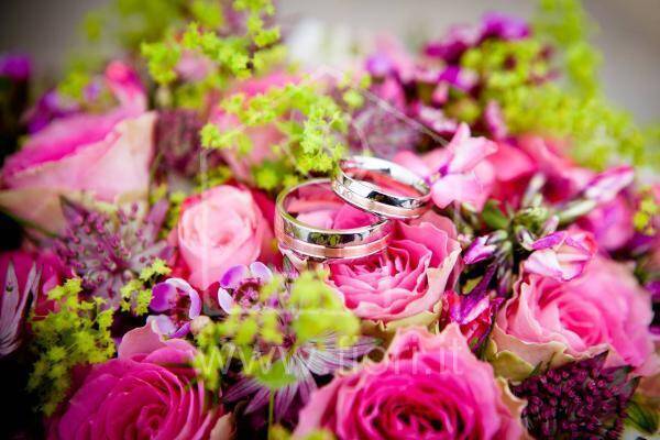 flowers-2608941920
