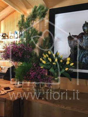 Fendi Cortina d'Ampezzo