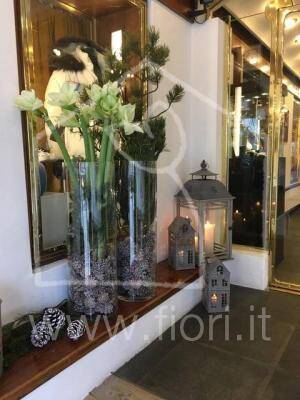Matrimonio Cortina d'Ampezzo
