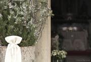 Matrimonio Cortina d'Ampezzo