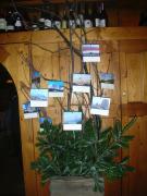 Cortina Wedding