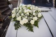Cortina Wedding